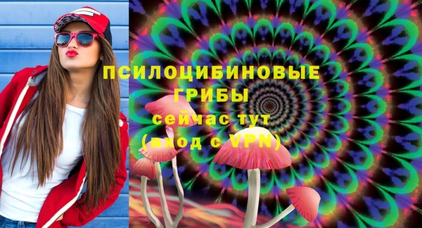 соль курить ск Белокуриха