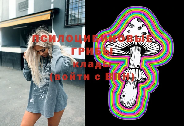 соль курить ск Белокуриха