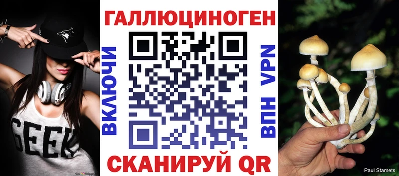 Псилоцибиновые грибы мухоморы  хочу наркоту  Будённовск 
