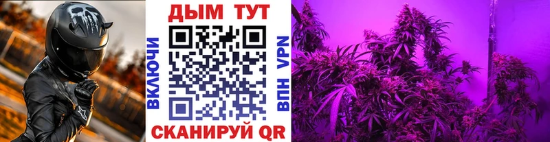 Марихуана план Будённовск